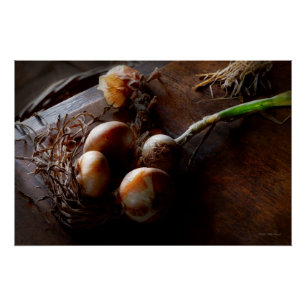 Food - Freshly pulled onions Poster