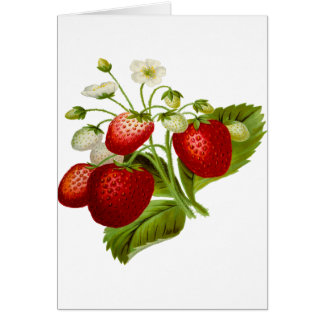 Food fruit leaf leafy leaves
