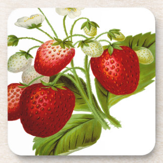 Food fruit leaf leafy leaves coaster