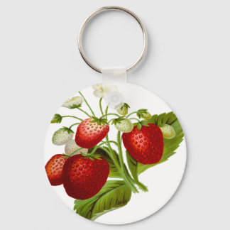 Food fruit leaf leafy leaves key ring