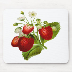Food fruit leaf leafy leaves mouse pad
