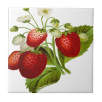 Food fruit leaf leafy leaves