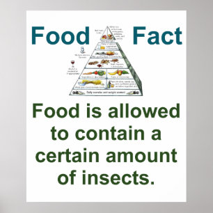 Food Is Allowed to Contain - Food Fact Poster