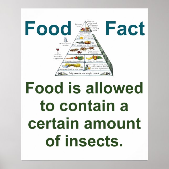 Food Is Allowed to Contain - Food Fact Poster (Front)