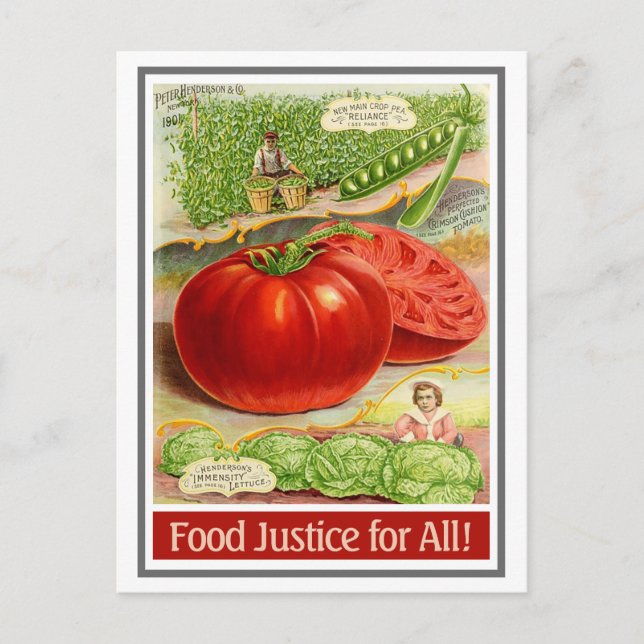 Food Justice - Vintage Tomatoes & Garden Announcement Postcard (Front)