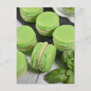 Food Photography Lime Basil French Macarons Postcard