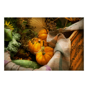 Food - Pumpkin - Summer still life Poster