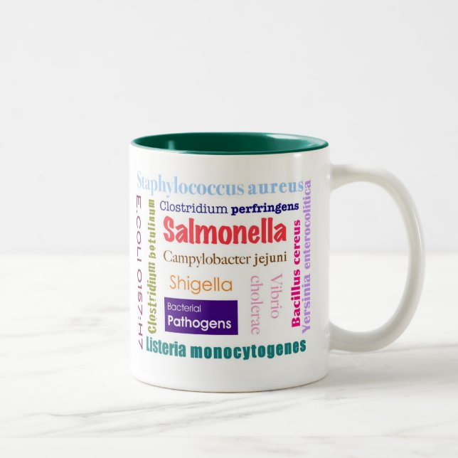 Food Safety Mug (Right)
