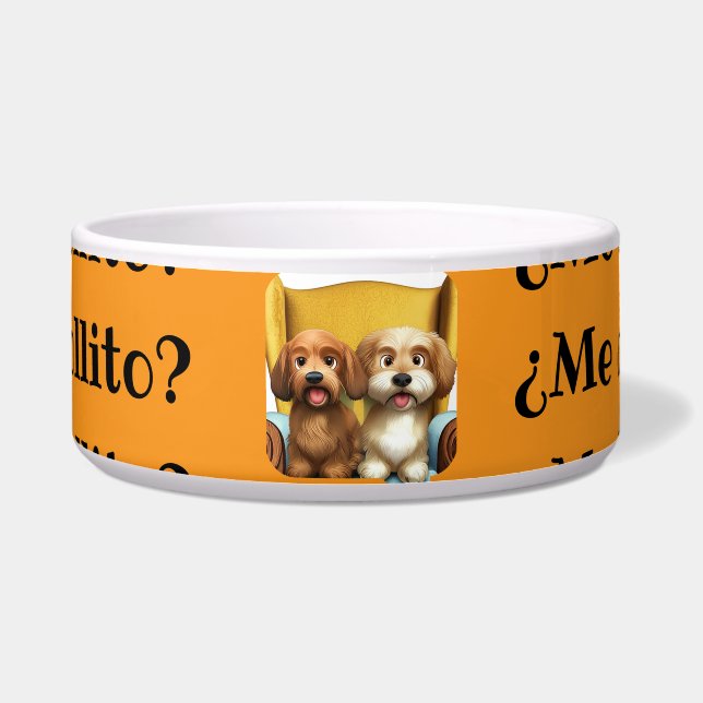 Food with personality "Amiguitas Peludas" (Front)