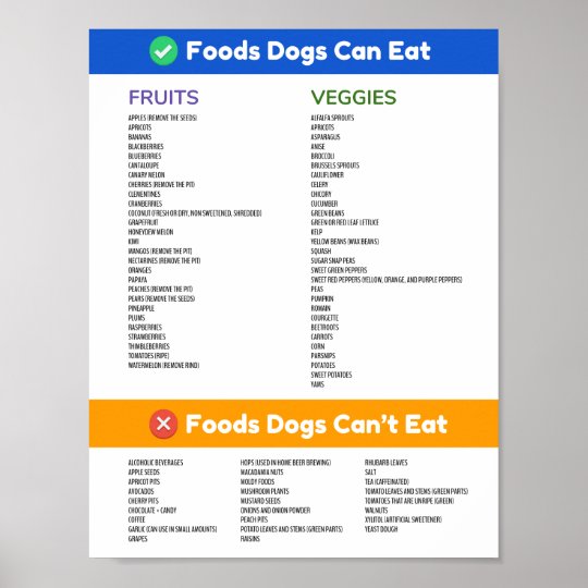 Foods Dogs Can and Can't Eat Poster | Zazzle.com.au