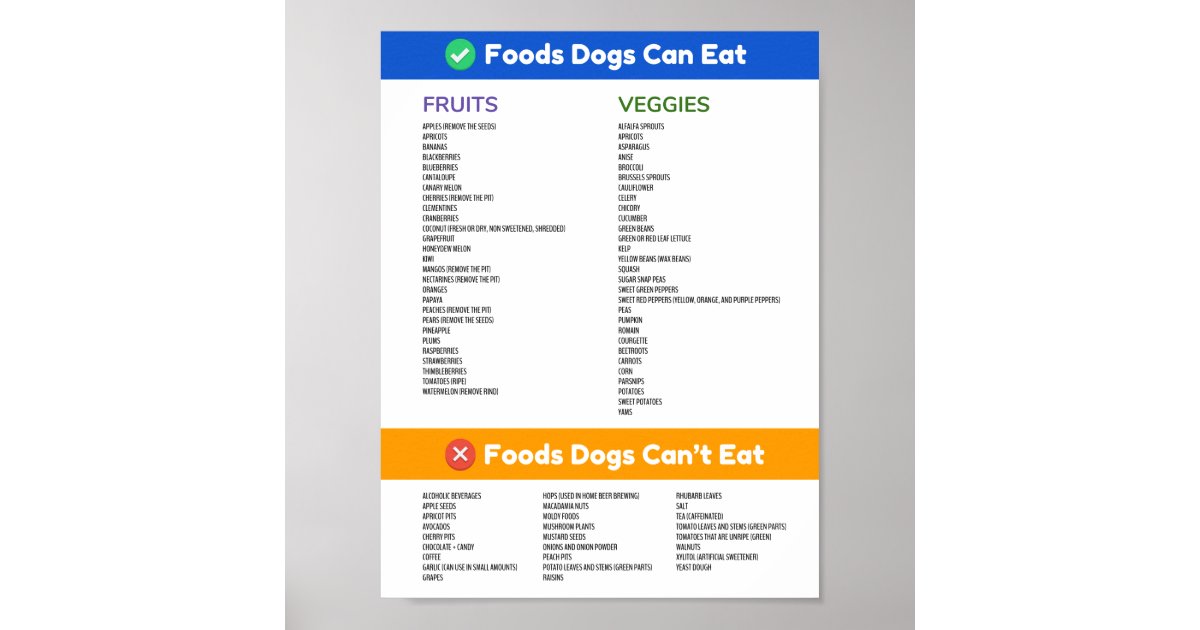 a list of foods dogs cant eat