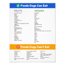 Foods Dogs Can and Can't Poster
