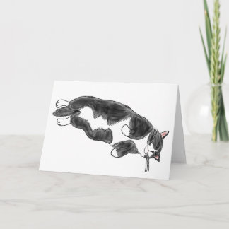 FooFooCat: Lazy Jumbo Tuxedo Cat Card