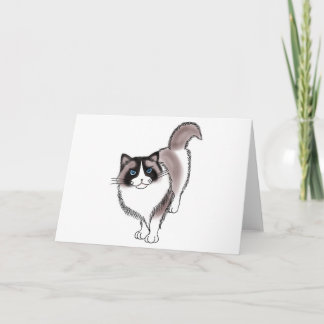 FooFooCat: Sassy Ragdoll Card