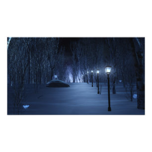 Fool's Light Photo Print