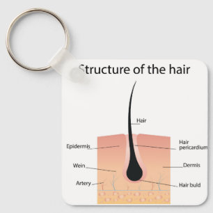  foot bones anatomy  key ring