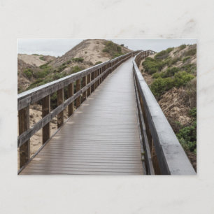 Foot Bridge at Oso Flaco Lake State Park Postcard