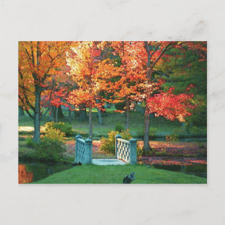 Foot Bridge in Fall Postcard