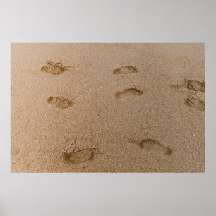 Foot print seashore