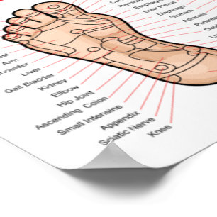 Foot Reflexology : 11x8" Poster