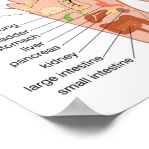 foot Reflexology 12x10" Poster