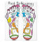 foot Reflexology 14x18"