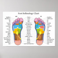 Foot Reflexology 18x12"