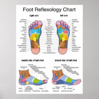 Foot Reflexology -18x24"