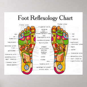 Foot Reflexology - 20x16" Poster