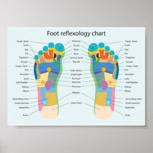foot reflexology-7x5" poster