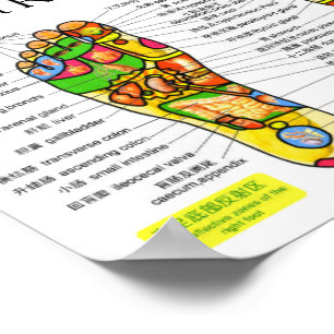 Foot Reflexology Chart