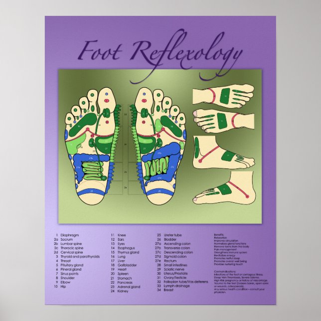 Foot Reflexology chart (Front)