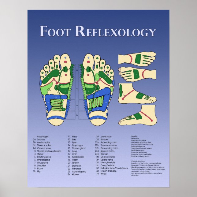 Foot Reflexology chart - Blue (Front)