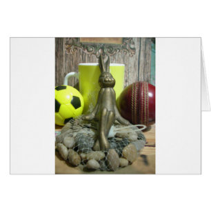 Football Cricket spectator sports