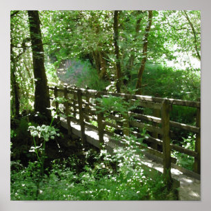 Footbridge in Woodland. Poster