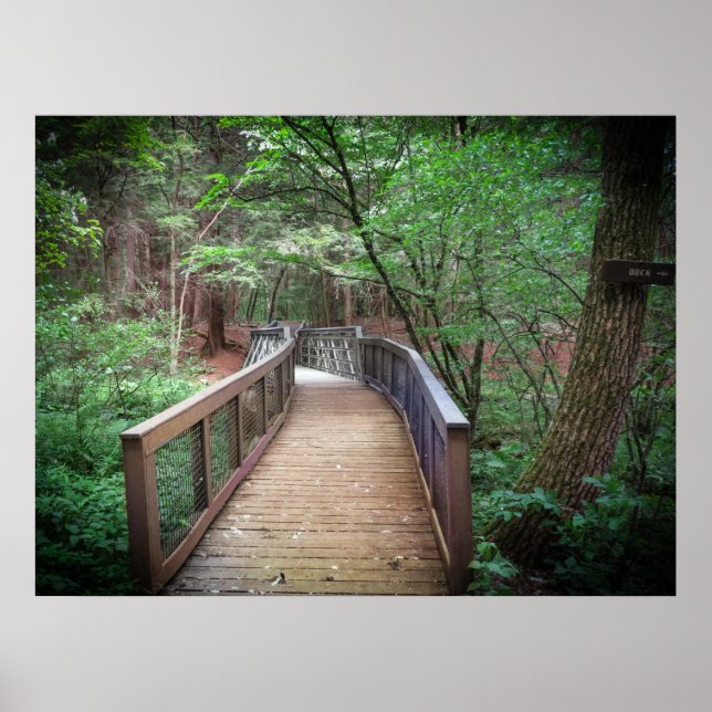 Footbridge Poster (Front)