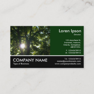 Footed Photo - Dk Green - Sun Through Trees Business Card