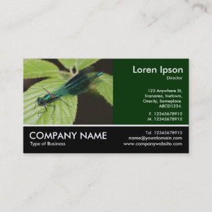 Footed Photo - Dragonfly Business Card
