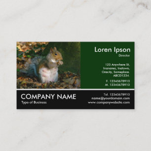 Footed Photo - Grey Squirrel Business Card