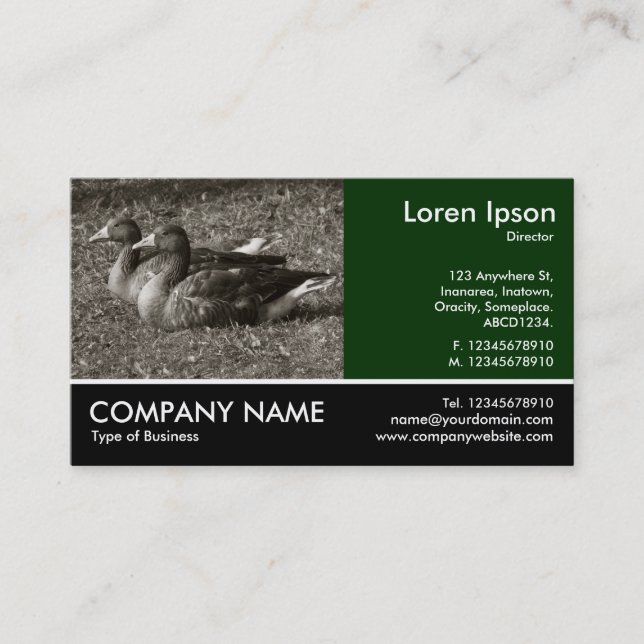 Footed Photo - Greylag Geese (Sepia) Business Card (Front)