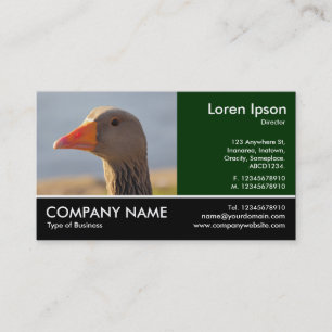 Footed Photo - Inquisitive Goose Business Card