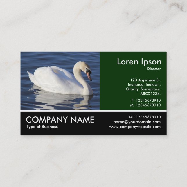 Footed Photo - Mute Swan Business Card (Front)