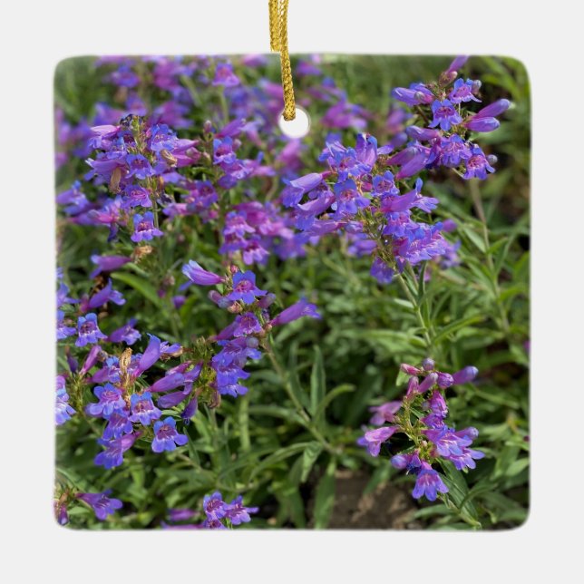 Foothill Penstemon Ceramic Ornament (Front)