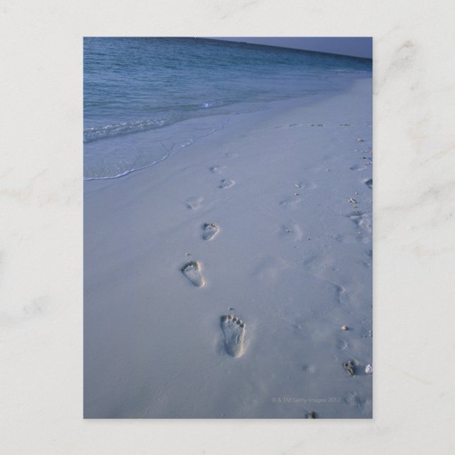 Footmark Postcard (Front)