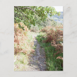 Footpath Coniston England Card