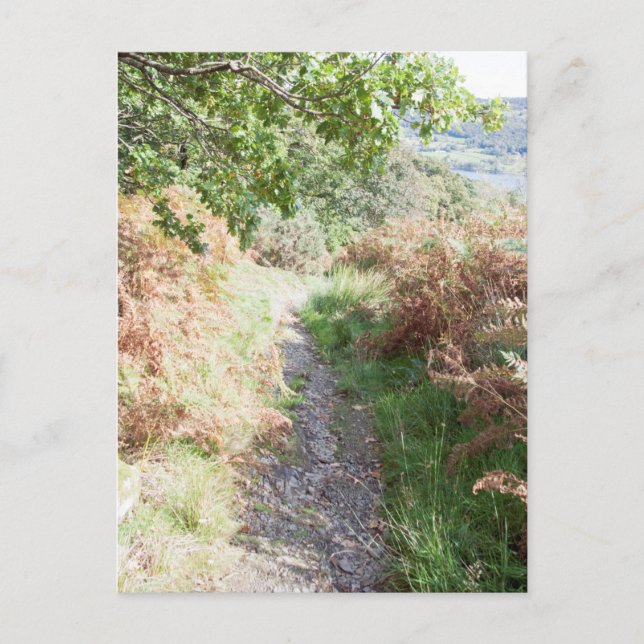 Footpath Coniston England Card (Front)