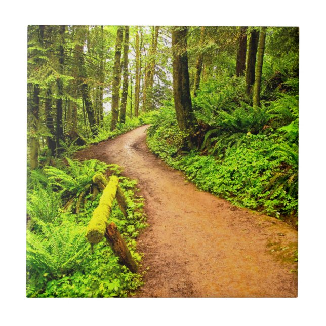 Footpath in Forest Park Ceramic Tile (Front)