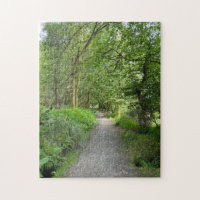 Footpath Through Woods on Isle of Bute Scotland