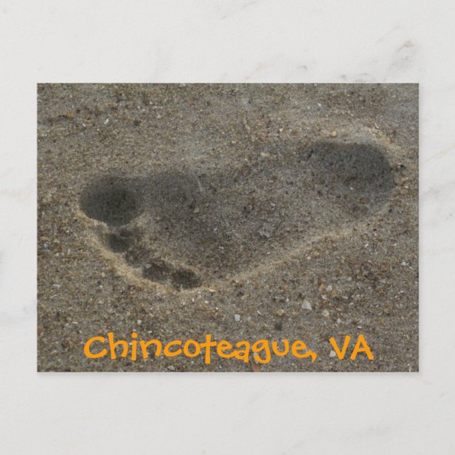 Footprint Chincoteague, VA Postcard (Front)