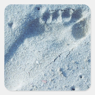 Footprint in the Sand Square Sticker